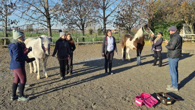 Con il cavallo per guidare il cambiamento aziendale