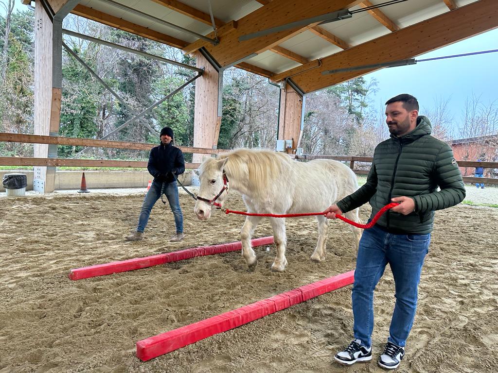 team building equestre